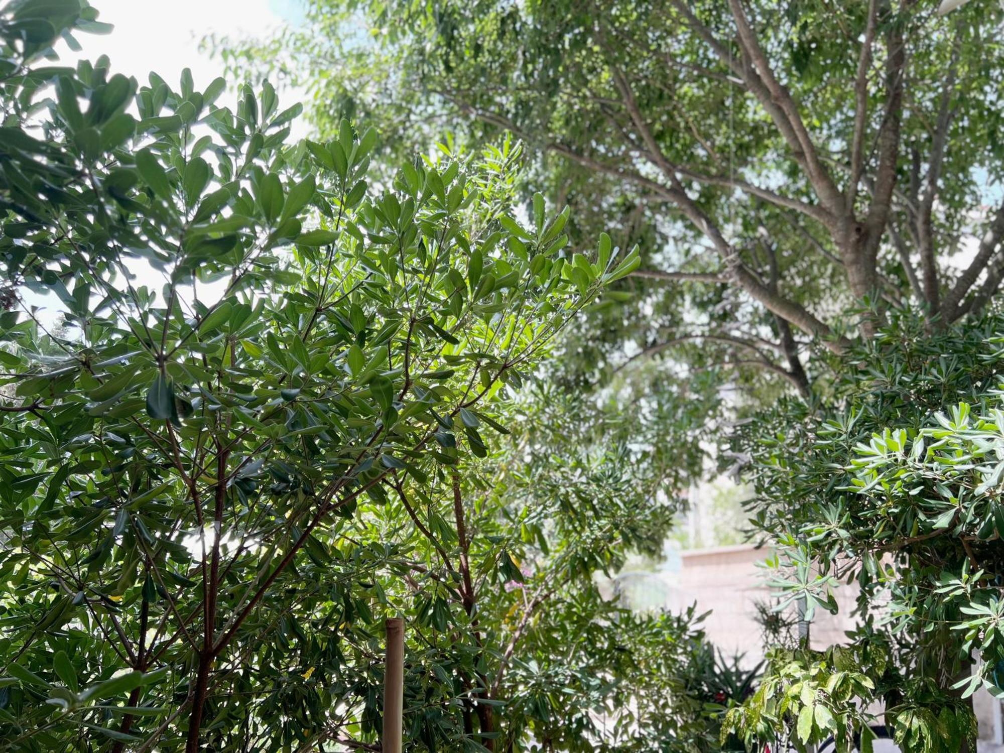 Room Tai - Spacious And Comfy With Private Terrace هفار المظهر الخارجي الصورة